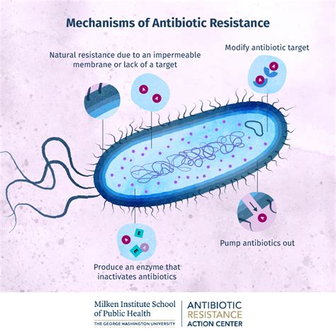 How Bacteria Gain Resistance To Antibiotics And Why It Matters
