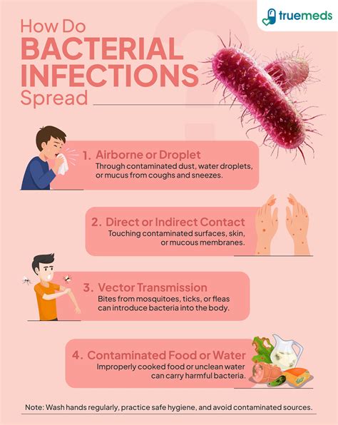 How Bacteria Infect Humans: The Mechanisms Explained
