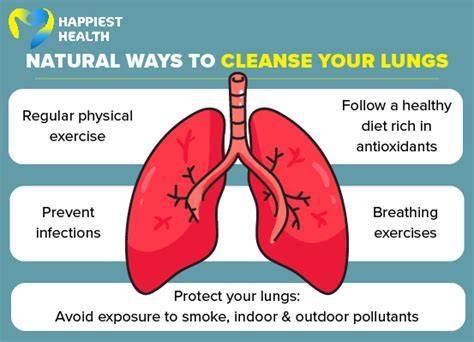 How Do Lungs Clean Themselves Of Dust Naturally