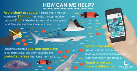 How Do Sharks Help Coastal Ecosystems Thrive