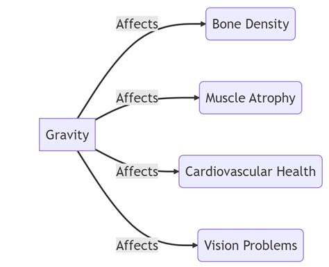 How Does Gravity Affect Bone Density And Why It Matters