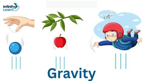 How Does Gravity Control Your Daily Routine And Comfort Actually Happens With These Four Invisible Forces