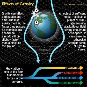 How Gravity Shapes Life On Earth