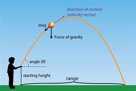 How Gravity Dictates The Path And Speed Of Projectiles