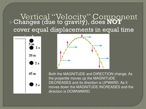 How Gravity Affects Vertical Velocity In Physics Explained