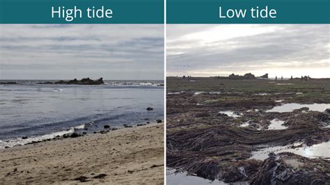 How Does Tide Go In And Out: The Science Behind Coastal Cycles