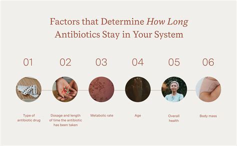 How Long Can You Take Antibiotics Safely And What Is The Limit