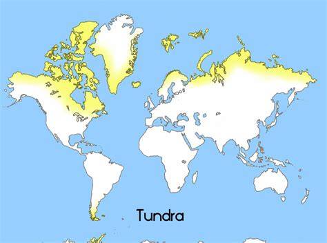 How Much Of The World Is Tundra And Why It Matters