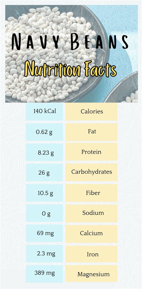 How Much Protein In Navy Beans Serving By Serving