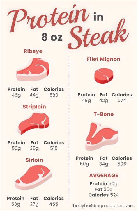 Steak Protein Content By Cut: A Complete Guide