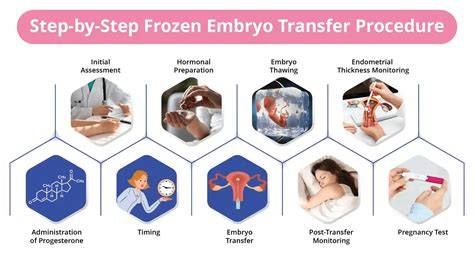 How To Prepare For Embryo Transfer: A Complete Guide