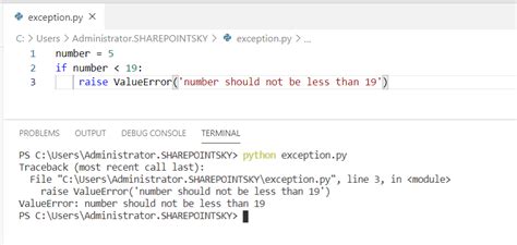 How To Raise Value Error In Python For Beginners
