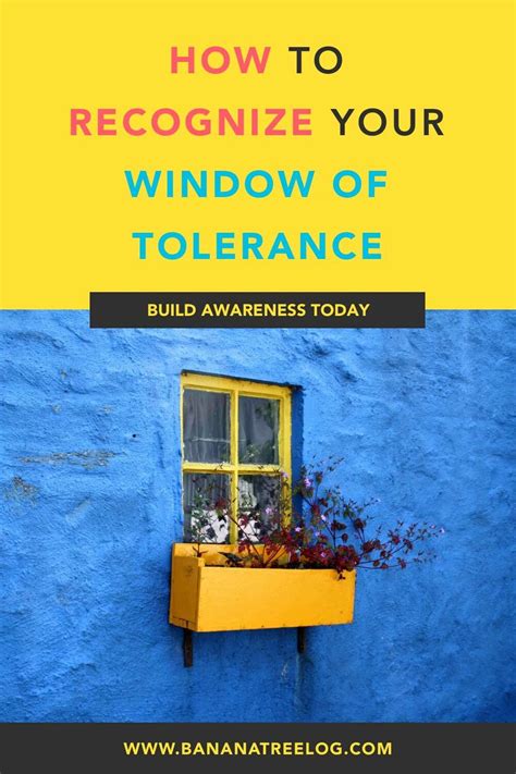 How To Recognize Your Window Of Tolerance: Signs, Triggers And Tips