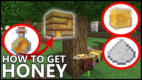 How To Safely Get Honey In Minecraft Without The Bees Getting Angry