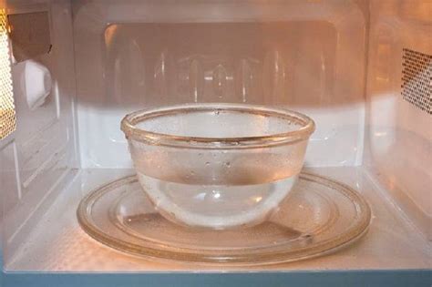 How To Safely Microwave Water In 6 Simple Steps To Avoid Burn Hazards