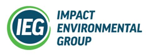 How The Impact Environment Group Creates Green Change