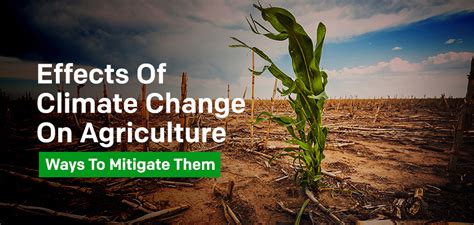 How Agriculture Drives Climate Change And What Farmers Can Do About It