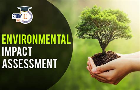 The Real Cost Of Sunk Costs: Impact Of Environmental Assessment On Roi