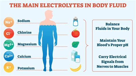 Fix Your Energy: Why In Body Electrolytes Matter