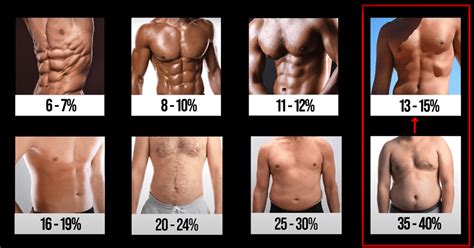 The Role Of Thyroid Hormones In Body Fat