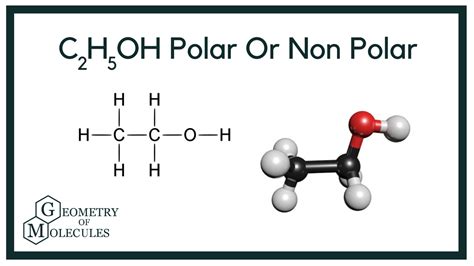 Is Ethanol Polar