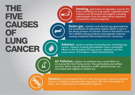 Leading Causes Of Lung Cancer You Need To Know Now