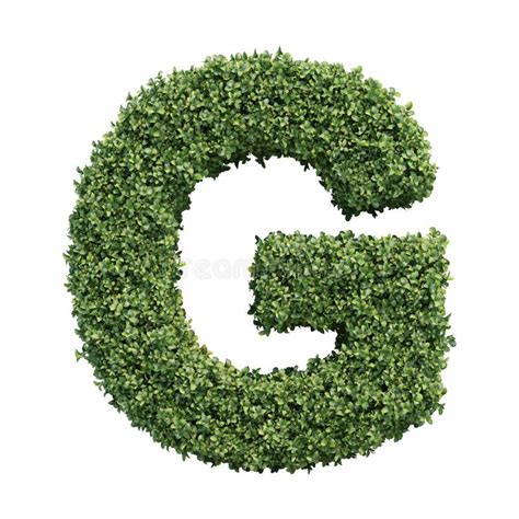 7 Gorgeous Houseplants Starting With The Letter G