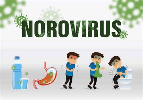 What Are The Main Symptoms Of Norovirus And How To Treat Them