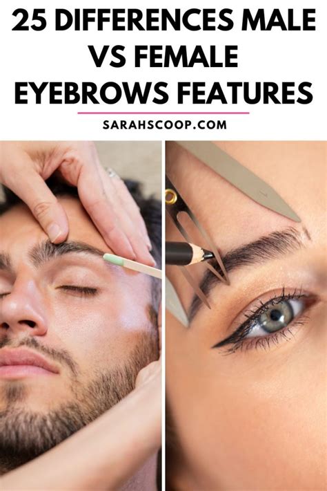 Male Vs Female Eyebrows Anatomy Differences