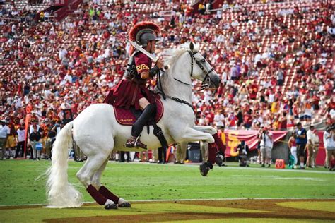 Mascot Of Usc