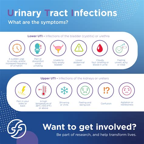 5 Common Myths About Utis You Need To Stop Believing Today