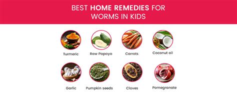 Natural Remedy For Worms In Humans That Works Fast