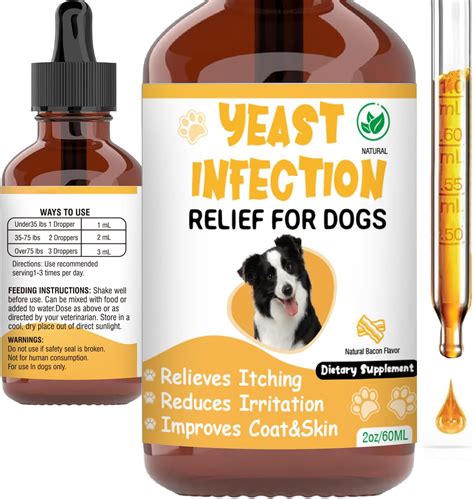 How To Use A Natural Remedy For Yeast In Dogs At Home