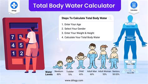 The Vast Amount Of The Body That Is Water