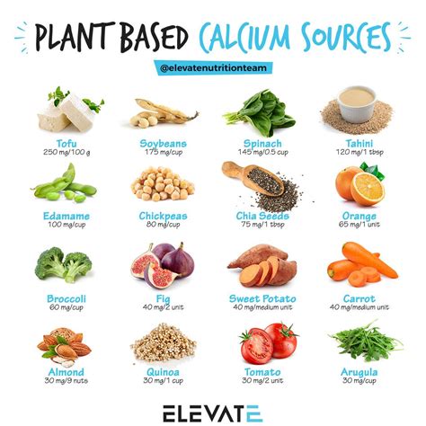 Top Plant Based Sources Of Calcium That Everyone Should Know