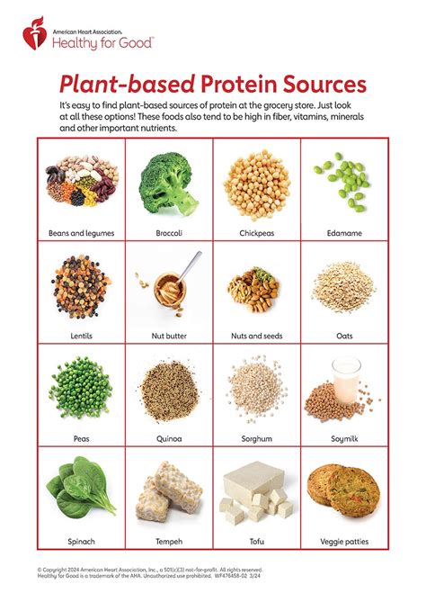 Plant Based Sources Of Complete Protein That Actually Taste Good