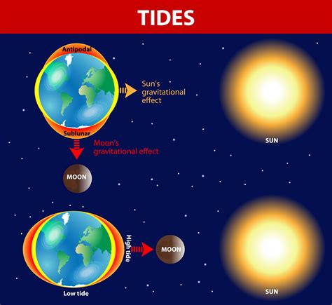 What Is The Primary Cause Of Ocean Tides Explained