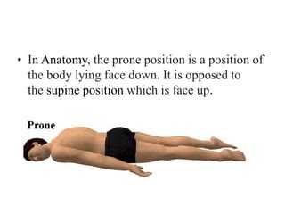Prone Position Meaning