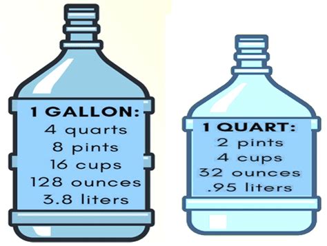 Quart Of Water