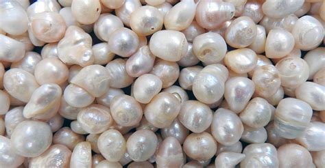 The Real Cost Of Pearls: What Determines Their Value