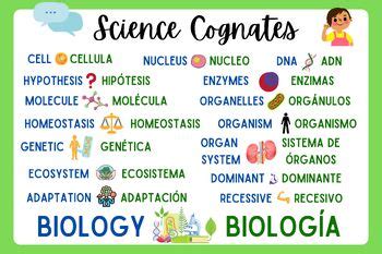 Science In Spanish