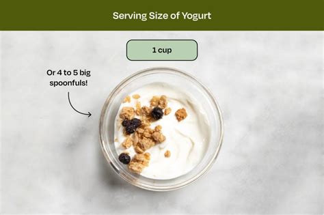 What Is The Standard Serving Size Of Yogurt