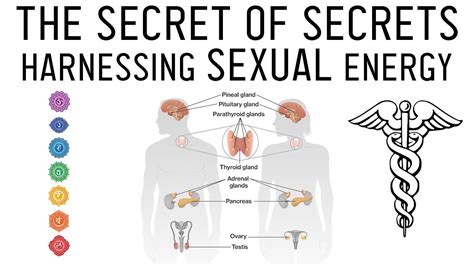 Sexual Energy Transfer
