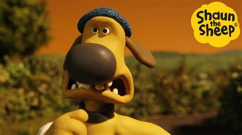 Shaun The Sheep Sheepdog