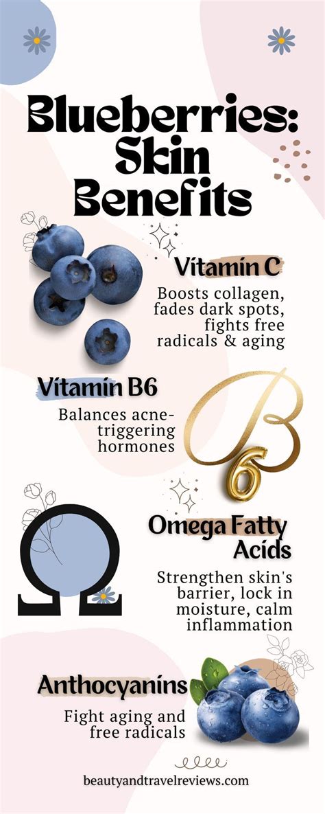 Skin Benefits Of Blueberries: The Ultimate Guide To Antiaging