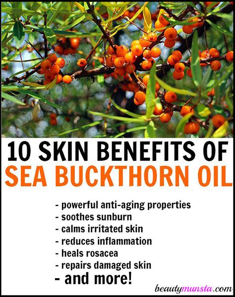 Why Your Skin Needs Sea Buckthorn Oil: The Science Behind The Glow