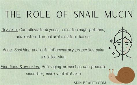 Why Snail Mucin Is A Skincare Gamechanger