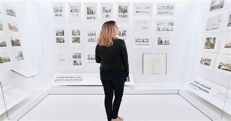 Smart Museum Curator Job
