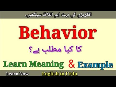 Understanding Social Behavior Meaning In Urdu