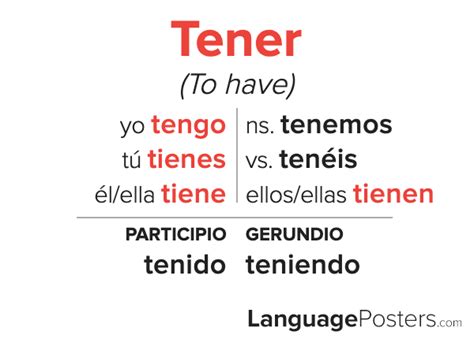 Tener Verb Conjugation